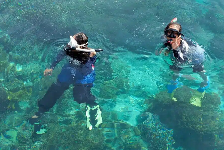 Snorkeling Mabul
