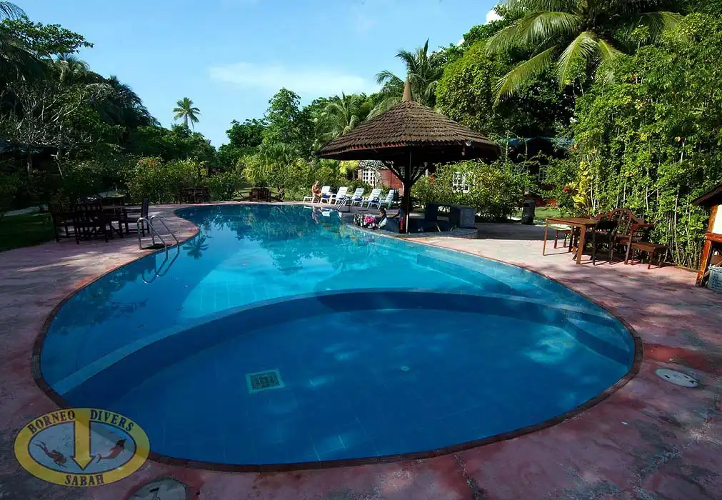 Borneo Divers Swimming pool