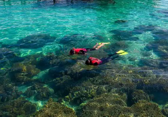 Mabul water bungalows snorkeling
